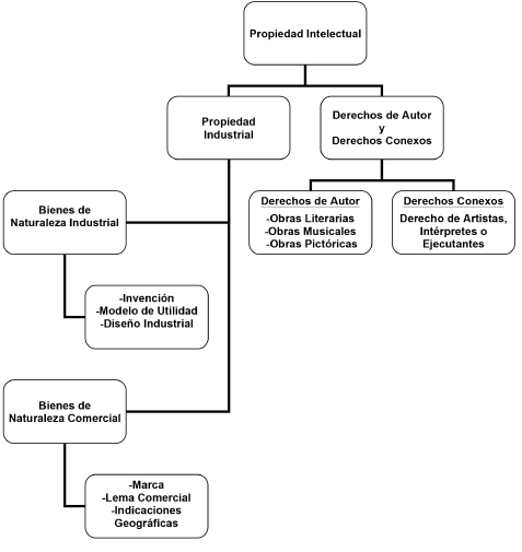 Clasificaci&oacute;n
de la propiedad intelectual.
