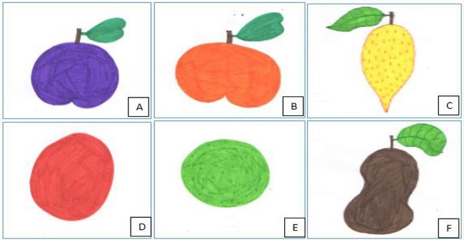 Ilustrações de outras frutas catalogadas