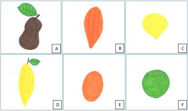 Ilustrações de mais frutas catalogadas