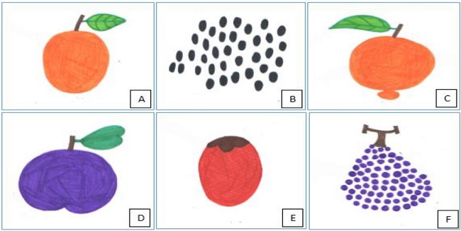 Ilustrações de outras frutas catalogadas