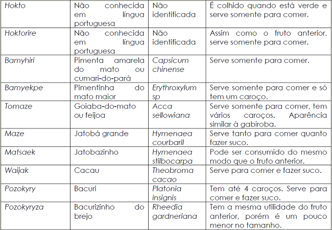 Características gerais das frutas e seus modos de consumo