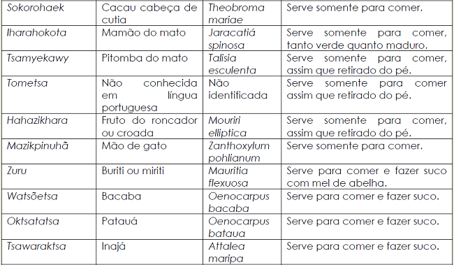Características gerais das frutas e seus modos de consumo