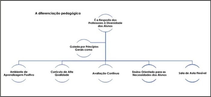 Princ&iacute;pios orientadores da diferencia&ccedil;&atilde;o pedag&oacute;gica