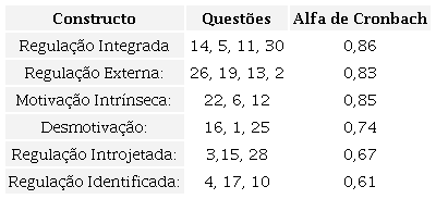 Alfa de Cronbach para os constructos