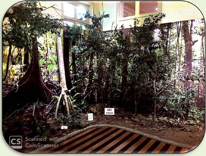 Painel &ldquo;Floresta prim&aacute;ria&rdquo;