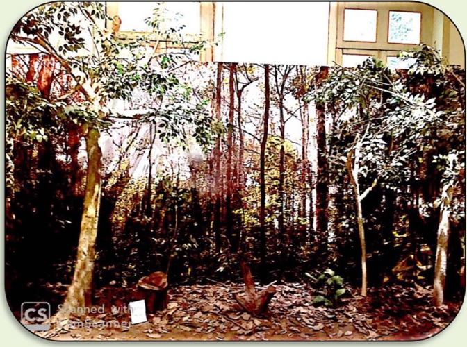 Painel &ldquo;A floresta degradada em fun&ccedil;&atilde;o da retirada de madeira de alto
                            valor econ&ocirc;mico (floresta empobrecida)&rdquo;