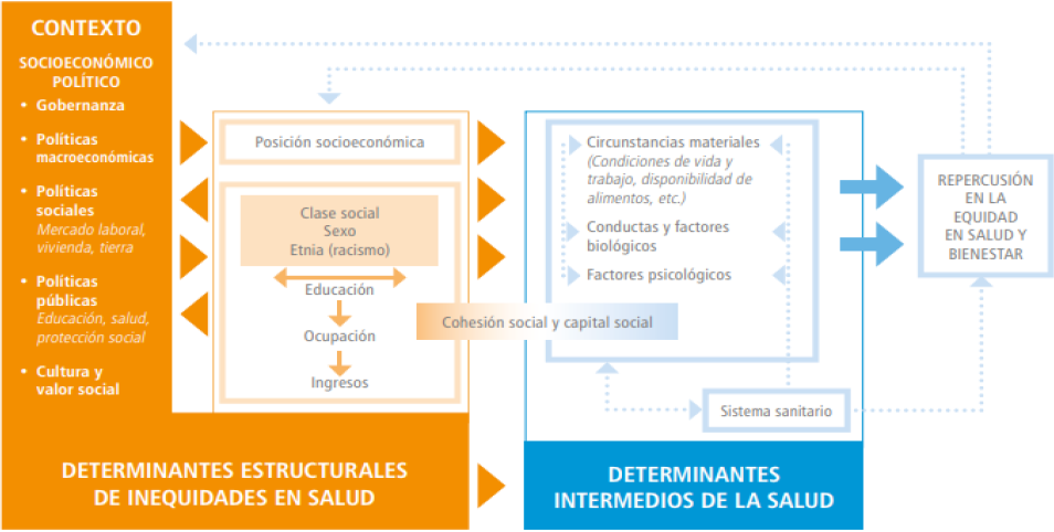 Determinantes sociales de la salud.