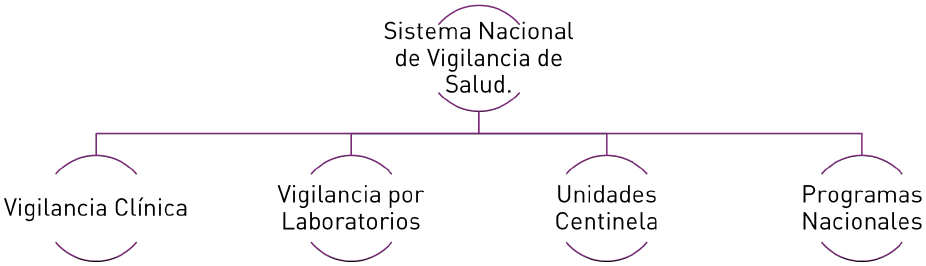 Composición del SNVS. Argentina