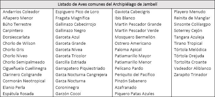 Aves comunes del Archipi&eacute;lago
de Jambel&iacute;