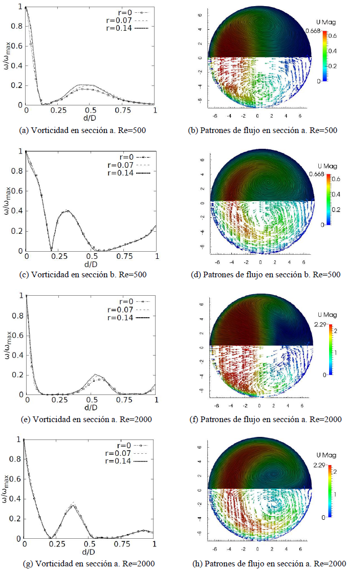 Comportamiento de la vorticidad
y patrones de flujo secundario.