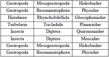  Familias de
macroinvertebrados acuático.