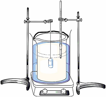 Montaje del ba&ntilde;o de recubrimiento Ni-P. 