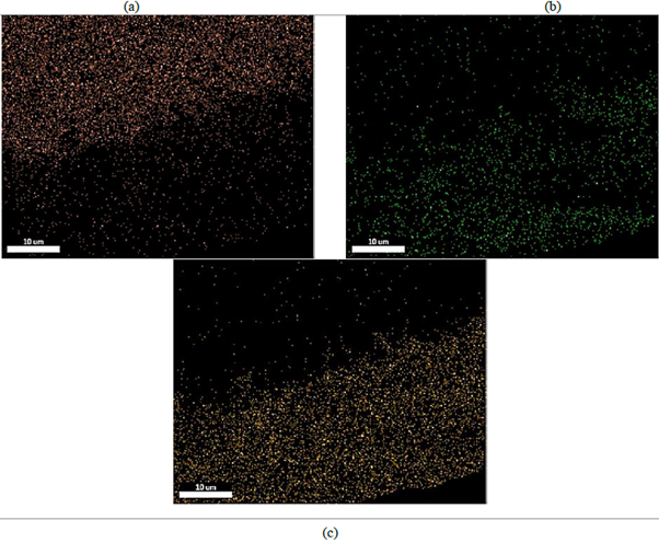 Micrograf&iacute;a del corte transversal de la probeta recubierta con Ni-P. 