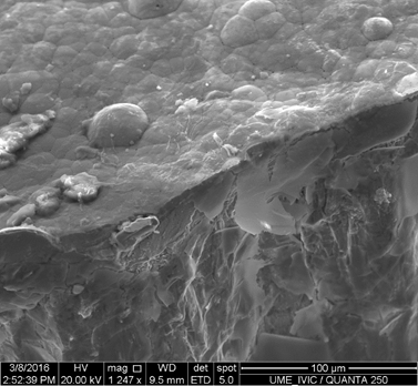 Micrograf&iacute;as de los an&aacute;lisis por EDX-Mapping para (a) hierro; (b) f&oacute;sforo y (c) n&iacute;quel. 
