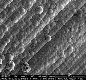 Morfolog&iacute;a nodular t&iacute;pica del recubrimiento de n&iacute;quel fosforado. 