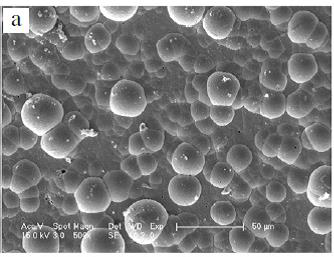 Micrograf&iacute;a de recubrimiento de n&iacute;quel fosforado. 