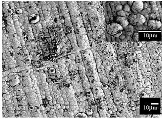 Micrograf&iacute;a de recubrimiento de n&iacute;quel fosforado. Fuente: Baskaran et al[15].