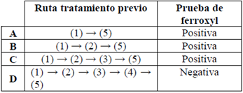 Rutas de pre-tratamiento y resultados de la prueba de ferroxyl.