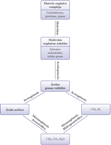 Proceso de digestión anaerobia. Fuente: adaptado de T. Abbasi, S. M. Tauseef, y S. A. Abbasi, Biogas Energy. 2012.