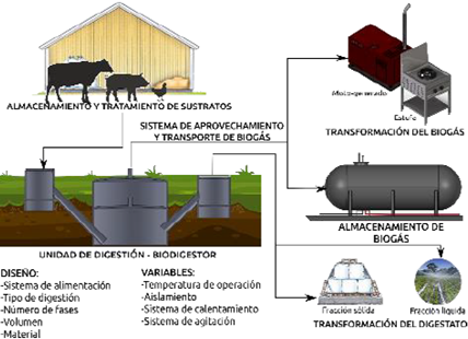 Partes de una planta de biogás.