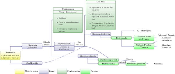 Cadena de valor del biogás.