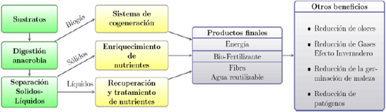 Beneficios directos e indirectos de la digestión anaerobia.”.