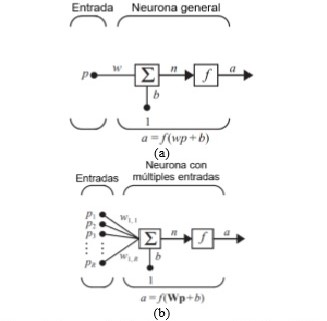 Representacin de neuronas artificiales: (a) de una entrada y (b) de mltiples entradas