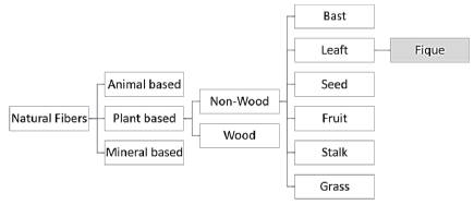 Fique fiber classification. 