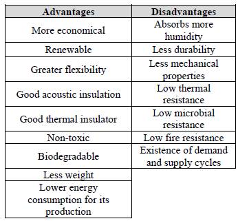 Composite materials reinforced with fique fibers - a review