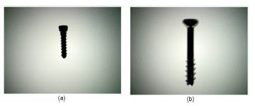 (a) Tornillo tipo A, y (b) tornillo tipo B.