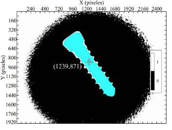 Imagen binaria con la regi&oacute;n R.