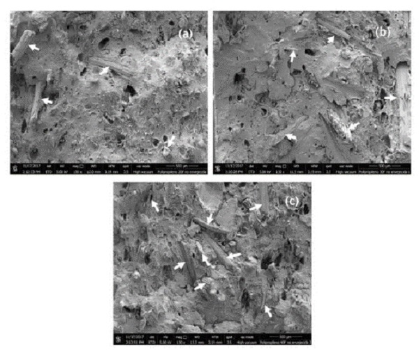 Imágenes de microscopia electrónica de barrido (MEB) de las microestructuras de (a) PP/20F, (b) PP/30F y (c) PP/40F. Las flechas blancas señalan la presencia de las fibras de bambú en la matriz de polipropileno.