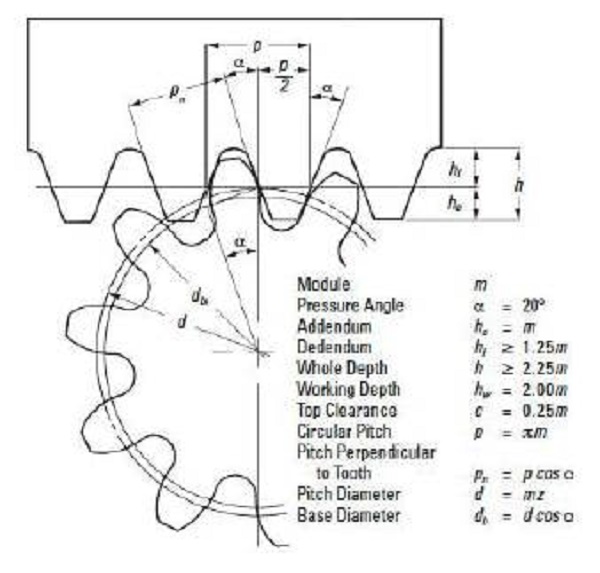 Generaci&oacute;n de perfil evolvente y dimensiones a partir de cremallera est&aacute;ndar. 