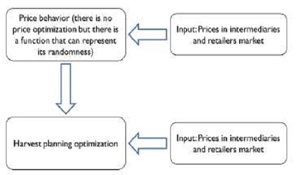 Hierarchical schema in the harvest planning problem. 