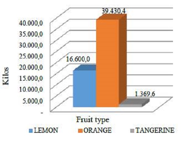 Global production in 10 plots and 7 planning days.
