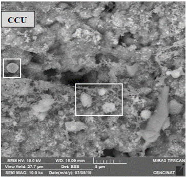 Micrografías de los convertidores catalíticos de desecho: CCU.