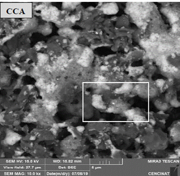 Micrografías de los convertidores catalíticos de desecho: CCA.
