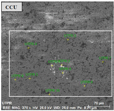 Micrografías de los convertidores catalíticos de desecho: CCU (muestreo en 10 zonas de la superficie).