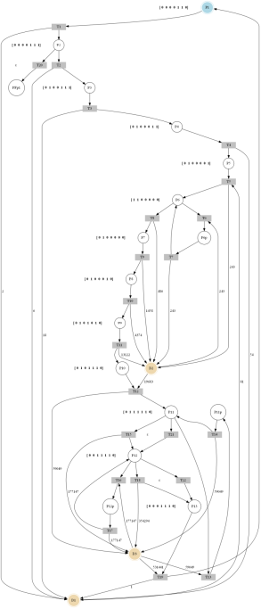 IPN con lugares de diagn&oacute;stico de fallo.