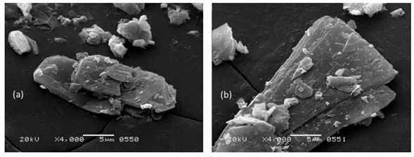 SEM images for the prepared graphene.