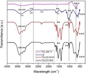 FTIR spectra of samples studied