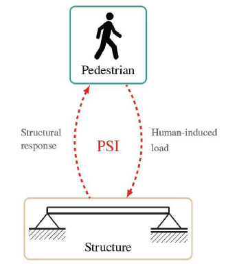 Coupled system to represent the pedestrian structure interaction.