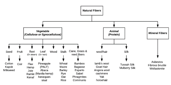 Classification of the types of natural fiber sources. 