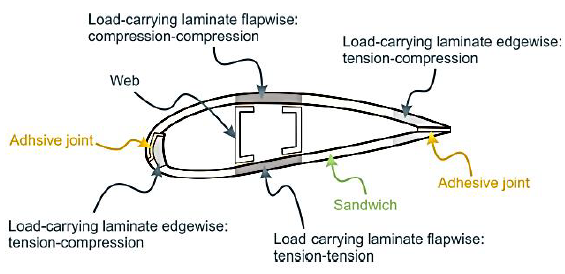Typical conformation of a cross section of the blade. 