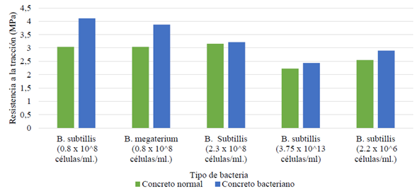 Influencia de las bacterias en la resistencia a la tracción a los 7, 14, y 28 días de curado.