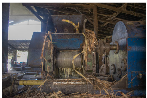 Salida de campo, captura de texturas, toma de referencias visuales para el modelado 3D.