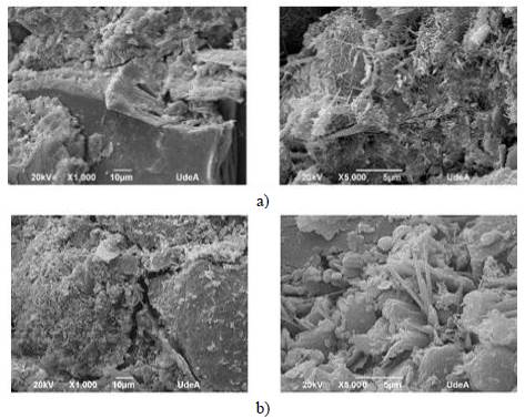 Micrograf&iacute;a SEM de la superficie de fractura de las muestras: (a) M1 + CPO, (a) G-M1. 