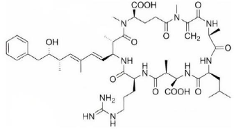 Estructura qu�mica de las microcistinas. Adaptado de Malik et al. [26].