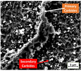SEM image with SE detector. 1.3C R400 sample after the cyclic potentiodynamic polarization tests.