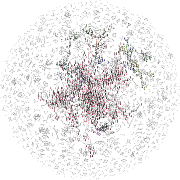 Co-authorship network in the selected journals